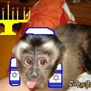A_Jewish_Monkey